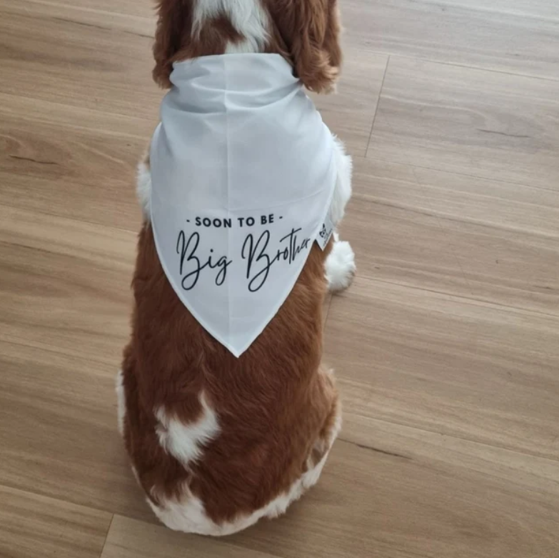 Dog Bandana - " Soon to be - Big Brother" - Pregnancy Announcement - Baby Reveal