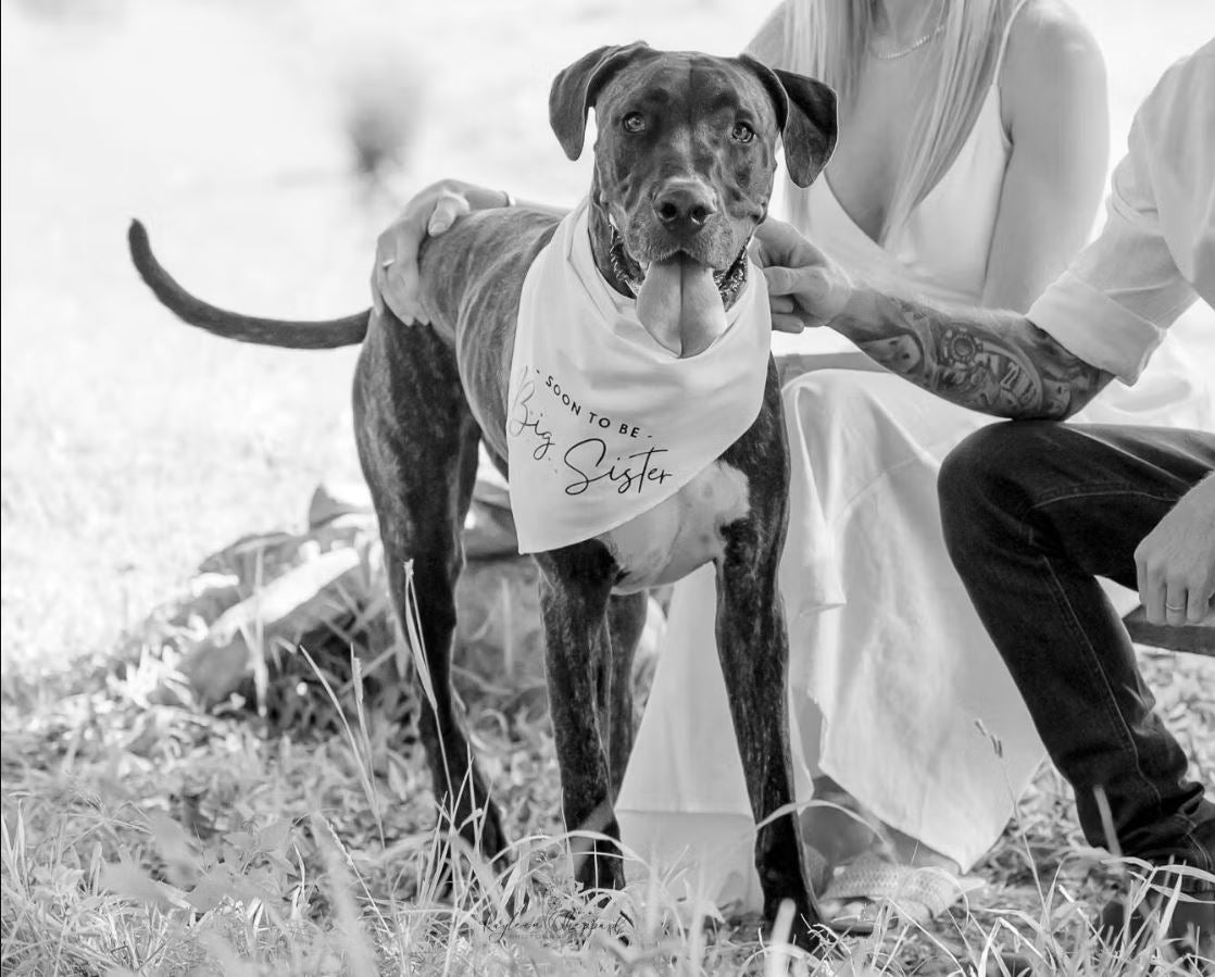 Black and shop white dog bandana