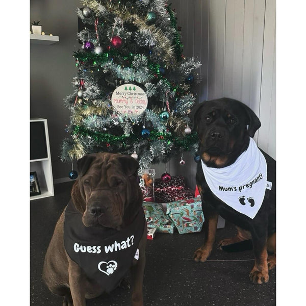 Pregnancy Announcement Dog Bandanas Duo - Guess What? Mum's Pregnant - Baby Reveal  2 Dogs - Two Bandanas: 1 White + 1 Black