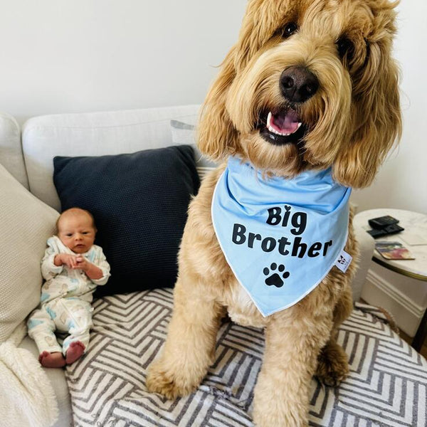 Dog Bandana - "Big Brother" - Pregnancy Announcement - Baby Shower gift