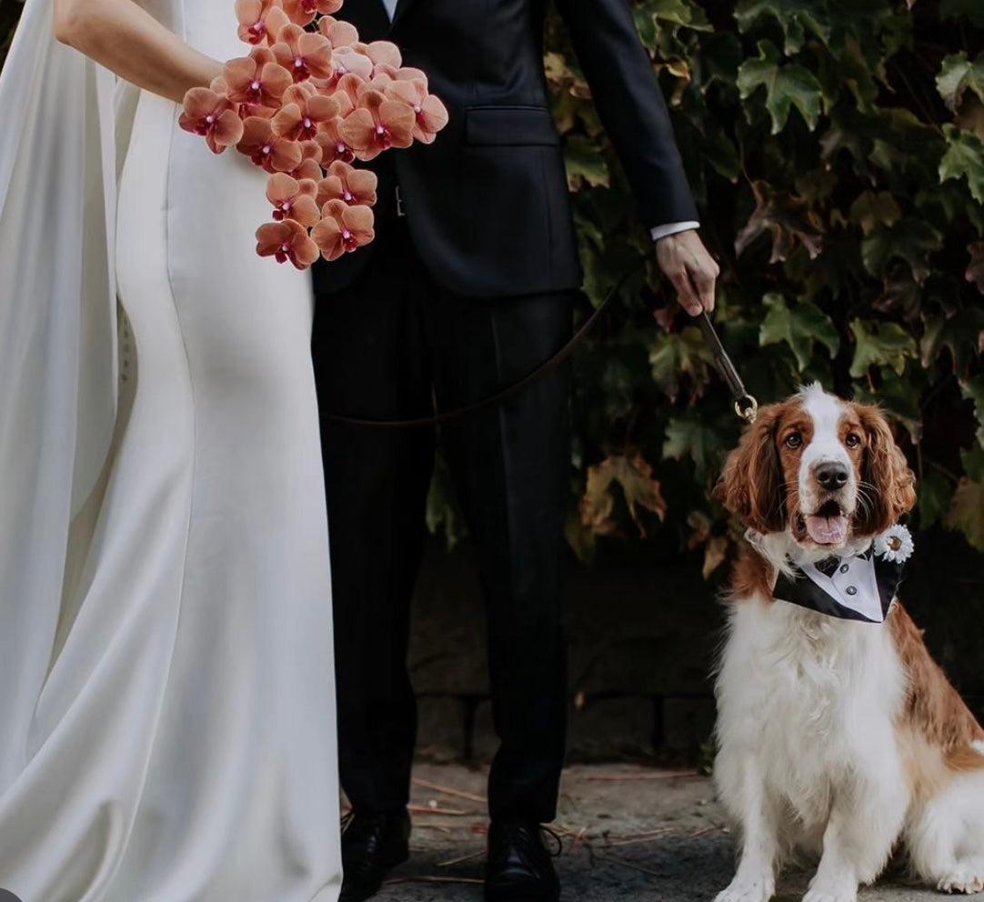 Dog Tuxedo Bandana with Flower Boutonniere Black