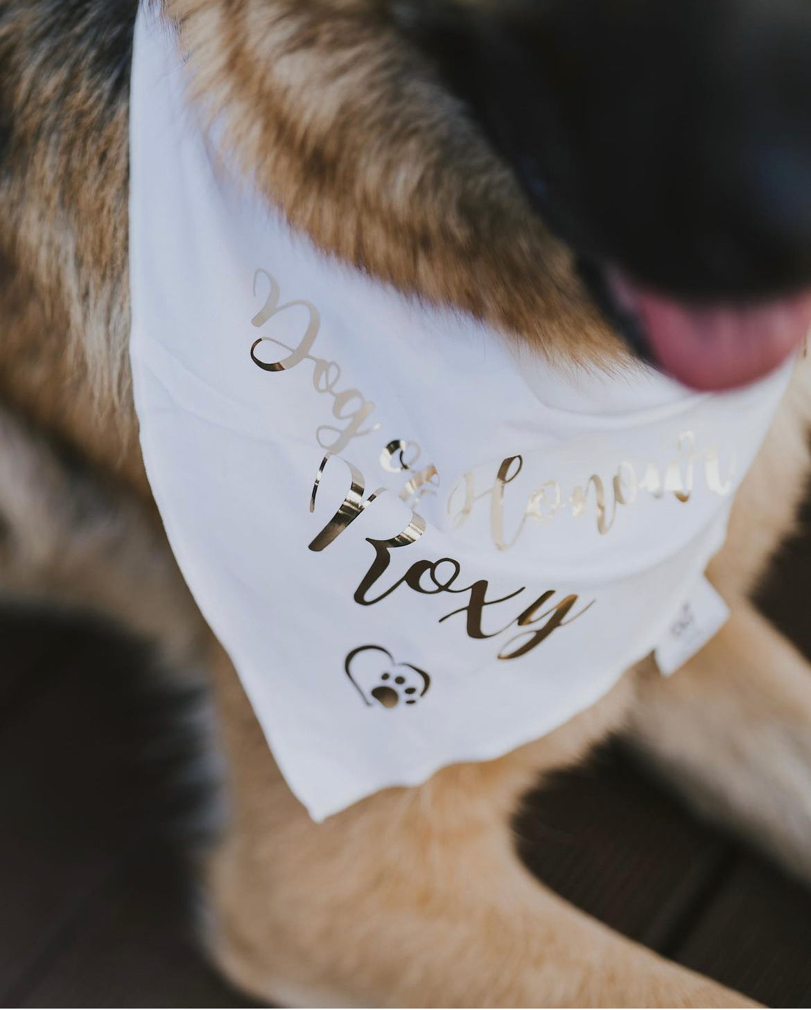 Dog of honour clearance bandana