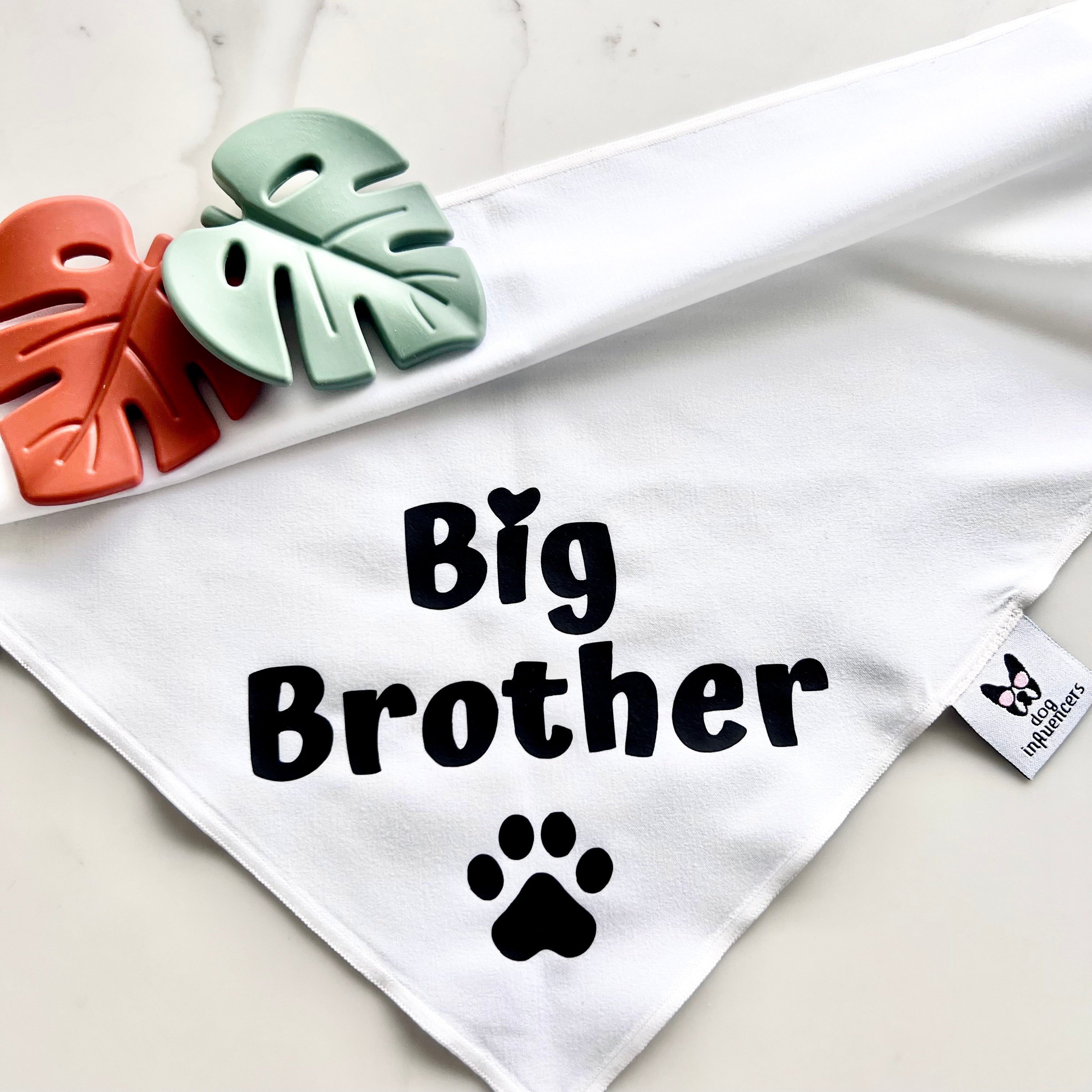 Big brother dog bandana australia best sale